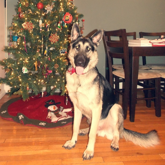 Meet your Posher, John - Picture 1 of 1